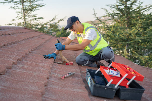 Best Roof Gutter Cleaning  in Stockbridge, GA